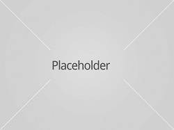 Place Holder